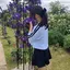 ゆいのプロフィール画像