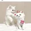 ユのプロフィール画像