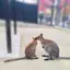 まめのプロフィール画像