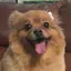 mauのプロフィール画像