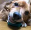 アヤカのプロフィール画像