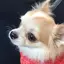 Sのプロフィール画像