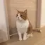 luuのプロフィール画像