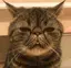 O型のプロフィール画像