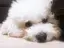 NanAのプロフィール画像