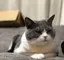 ayakaのプロフィール画像