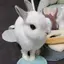 ちみーのプロフィール画像