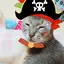 こじこのプロフィール画像