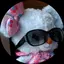 ななのプロフィール画像