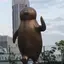 高崎のプロフィール画像