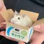 ゆきのプロフィール画像