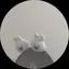みいのプロフィール画像