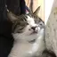 なみへーのプロフィール画像