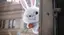 むたっそのプロフィール画像