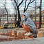 Juriのプロフィール画像