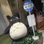 ゆうかのプロフィール画像