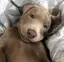 たこのプロフィール画像