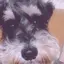 優那のプロフィール画像