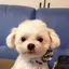 なおのプロフィール画像