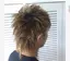 ニコバイのプロフィール画像