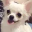 k.kのプロフィール画像