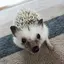 とものプロフィール画像