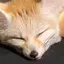 かなのプロフィール画像