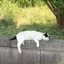 りこのプロフィール画像