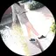 みずきのプロフィール画像