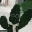 北浦のプロフィール画像