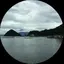 にしのプロフィール画像