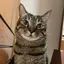 かずきのプロフィール画像