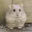 あやのプロフィール画像