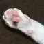 ひろみのプロフィール画像