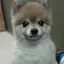 れんれんのプロフィール画像