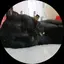 kanoのプロフィール画像
