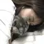 aikaのプロフィール画像