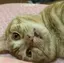 Kのプロフィール画像