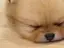 ルナのプロフィール画像