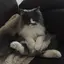 はる香のプロフィール画像