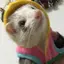 ま。のプロフィール画像