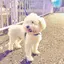 みゆのプロフィール画像