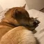 しののプロフィール画像