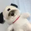 yukiのプロフィール画像