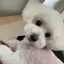 海青のプロフィール画像