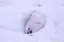 たべのプロフィール画像