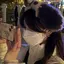 hanaのプロフィール画像
