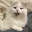 なおとのプロフィール画像