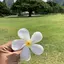 にゃのプロフィール画像