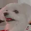あんなのプロフィール画像